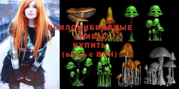 СК Алзамай